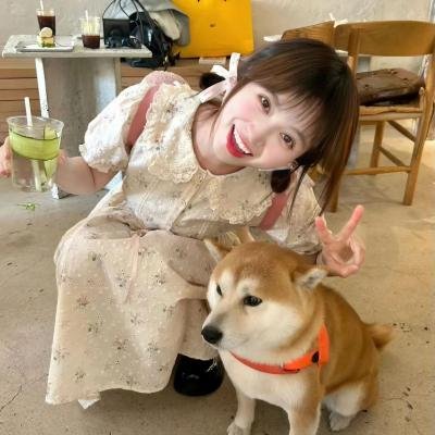 史酷比：格斗狂热迷